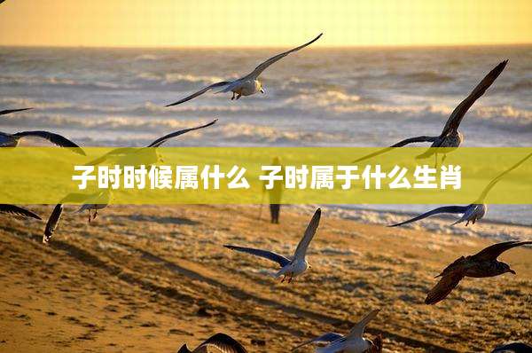 子时时候属什么 子时属于什么生肖