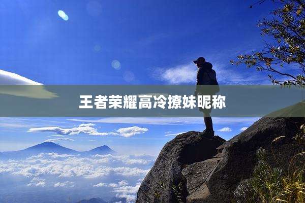 王者荣耀高冷撩妹昵称