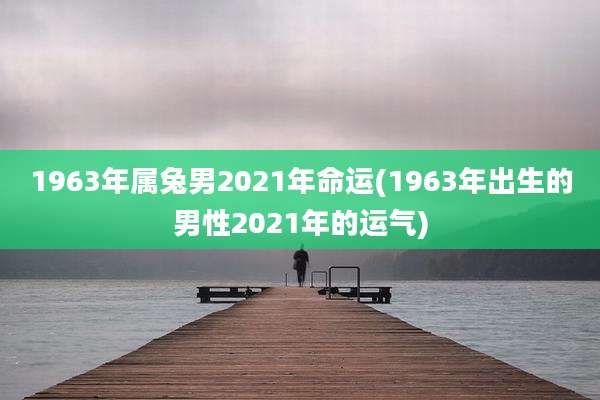 1963年属兔男2021年命运(1963年出生的男性2021年的运气)