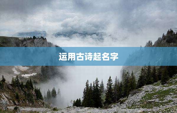 运用古诗起名字