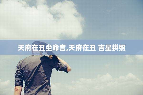 天府在丑坐命宫,天府在丑 吉星拱照