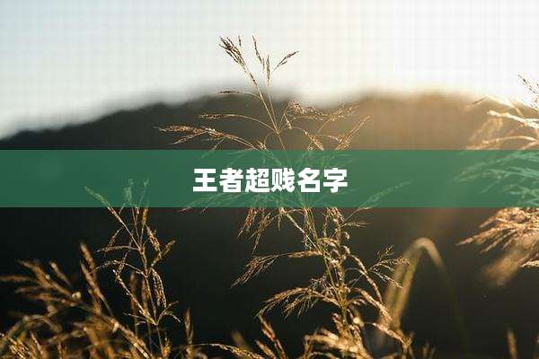 王者超贱名字