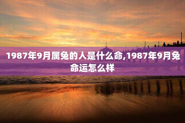 1987年9月属兔的人是什么命,1987年9月兔命运怎么样