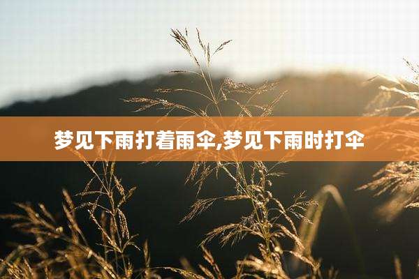 梦见下雨打着雨伞,梦见下雨时打伞
