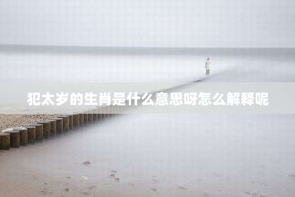 犯太岁的生肖是什么意思呀怎么解释呢