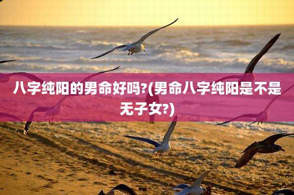 八字纯阳的男命好吗?(男命八字纯阳是不是无子女?)