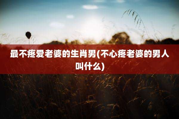 最不疼爱老婆的生肖男(不心疼老婆的男人叫什么)