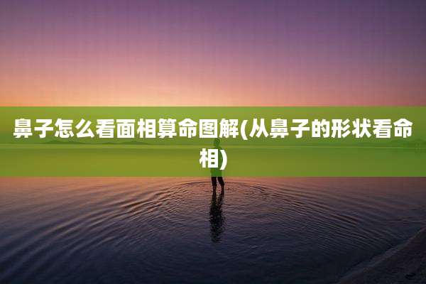 鼻子怎么看面相算命图解(从鼻子的形状看命相)