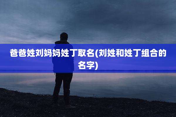 爸爸姓刘妈妈姓丁取名(刘姓和姓丁组合的名字)