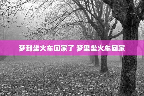 梦到坐火车回家了 梦里坐火车回家