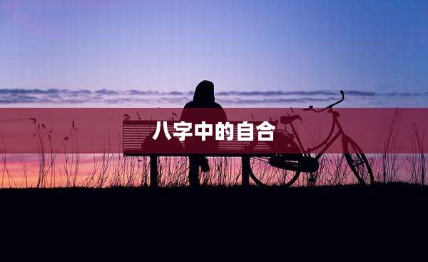 八字中的自合