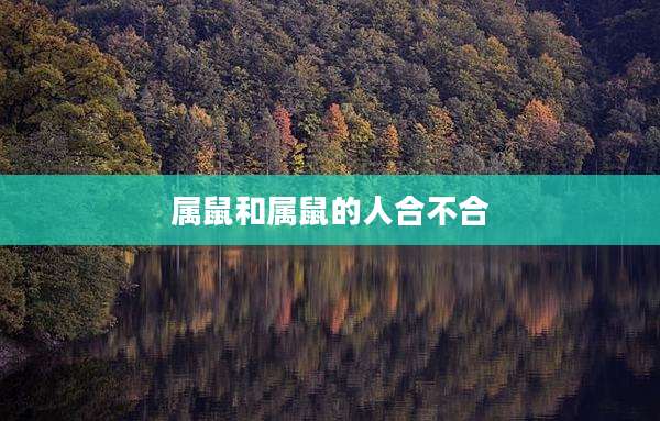 属鼠和属鼠的人合不合