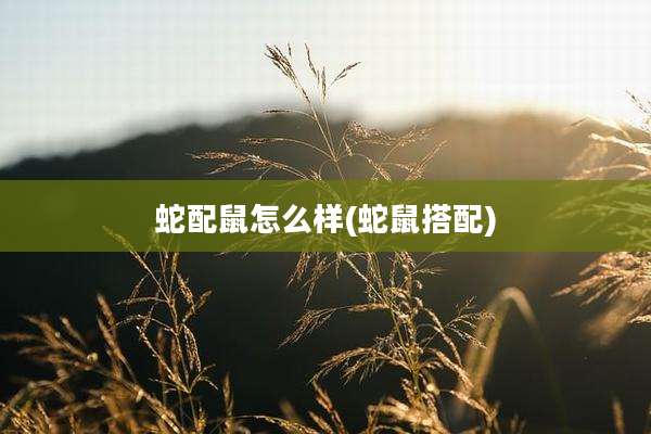 蛇配鼠怎么样(蛇鼠搭配)