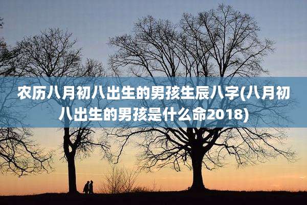 农历八月初八出生的男孩生辰八字(八月初八出生的男孩是什么命2018)