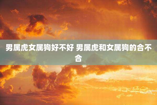 男属虎女属狗好不好 男属虎和女属狗的合不合