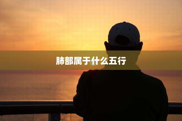 肺部属于什么五行