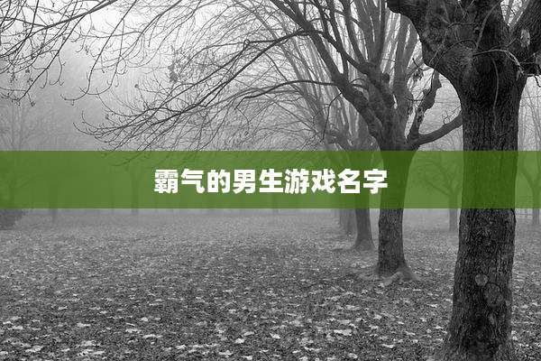 霸气的男生游戏名字
