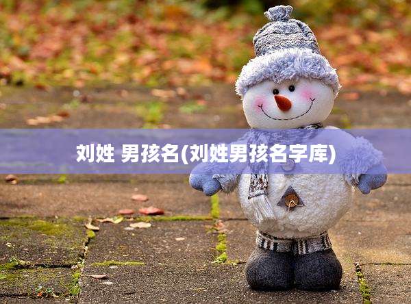 刘姓 男孩名(刘姓男孩名字库)