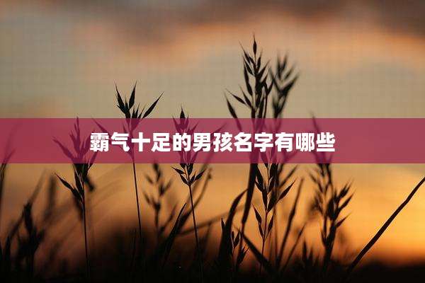 霸气十足的男孩名字有哪些