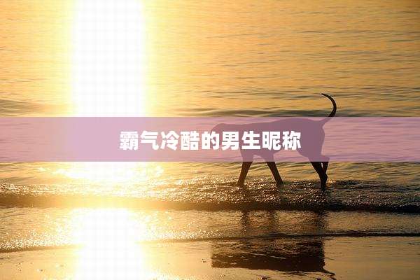 霸气冷酷的男生昵称