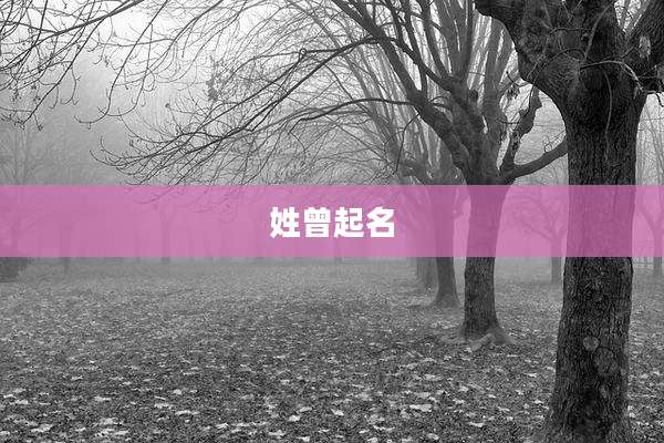 姓曾起名