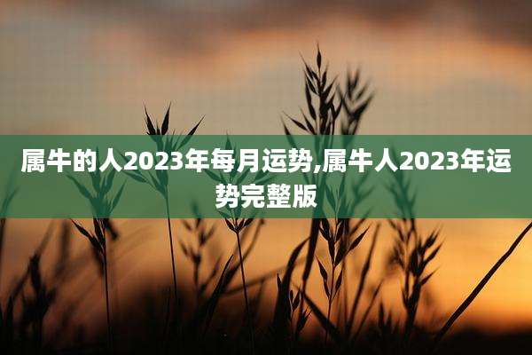 属牛的人2023年每月运势,属牛人2023年运势完整版
