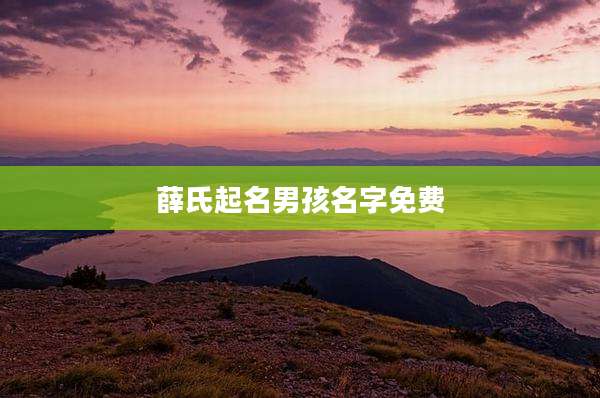 薛氏起名男孩名字免费