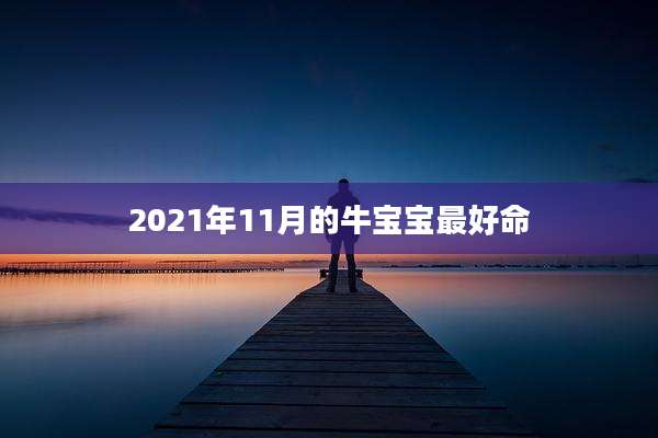 2021年11月的牛宝宝最好命