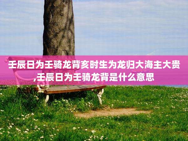 壬辰日为壬骑龙背亥时生为龙归大海主大贵,壬辰日为壬骑龙背是什么意思