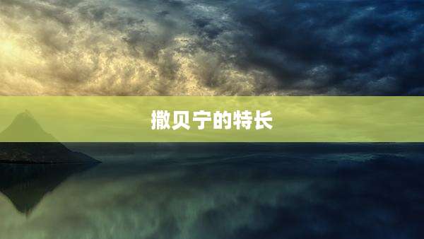 撒贝宁的特长
