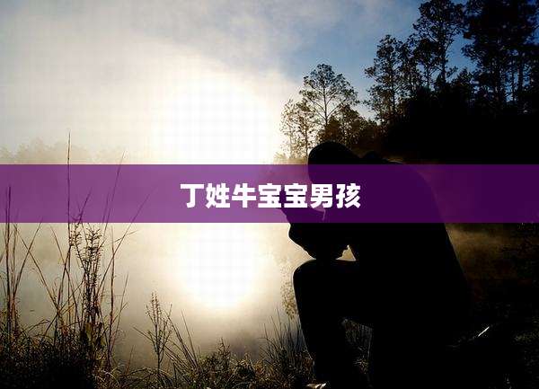 丁姓牛宝宝男孩
