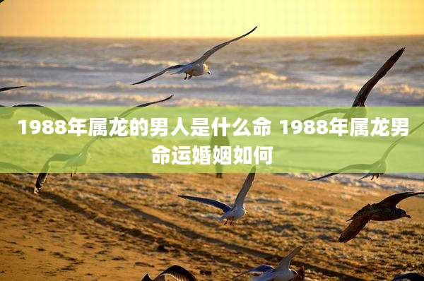 1988年属龙的男人是什么命 1988年属龙男命运婚姻如何