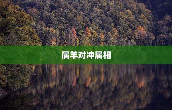 属羊对冲属相