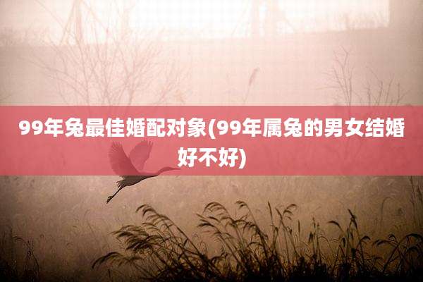 99年兔最佳婚配对象(99年属兔的男女结婚好不好)