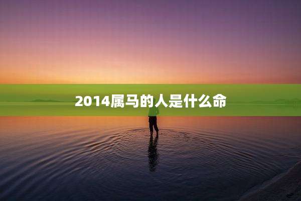 2014属马的人是什么命