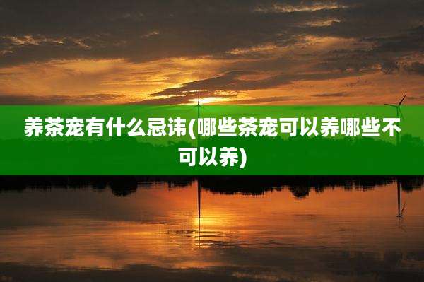 养茶宠有什么忌讳(哪些茶宠可以养哪些不可以养)