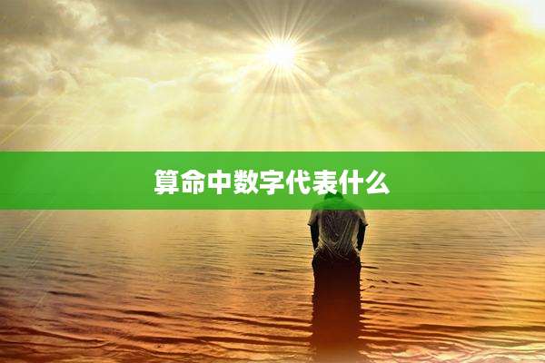 算命中数字代表什么