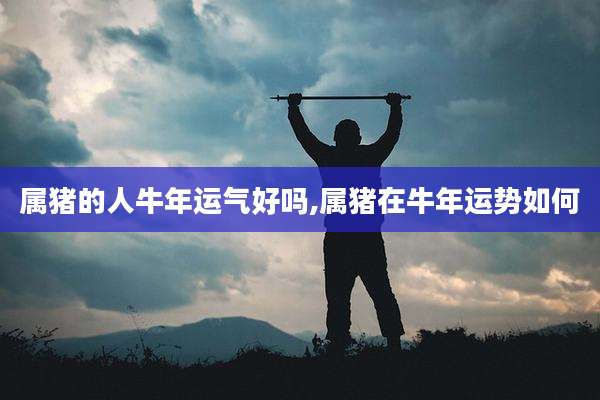 属猪的人牛年运气好吗,属猪在牛年运势如何