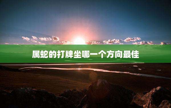 属蛇的打牌坐哪一个方向最佳