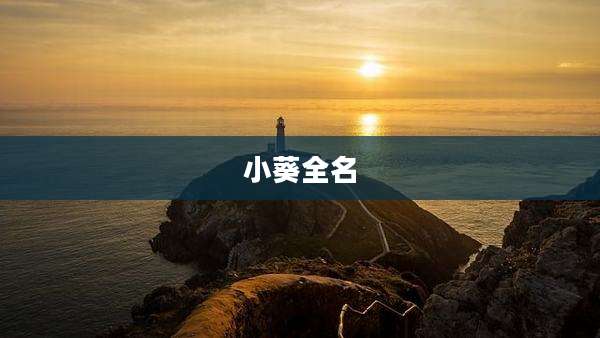小葵全名