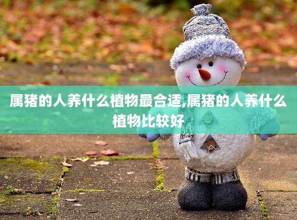 属猪的人养什么植物最合适,属猪的人养什么植物比较好