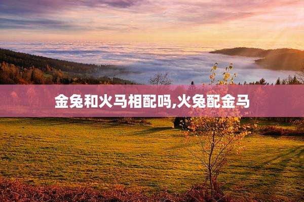 金兔和火马相配吗,火兔配金马