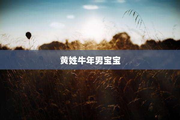 黄姓牛年男宝宝