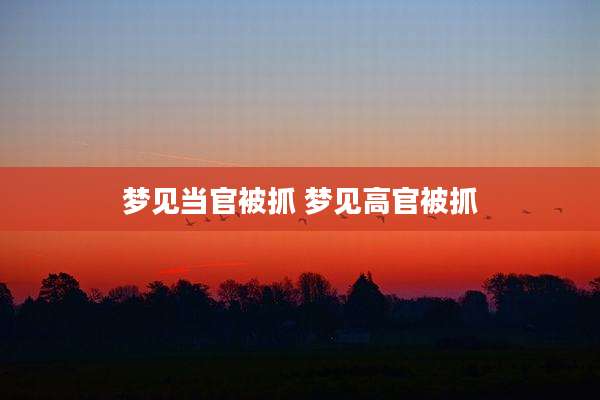梦见当官被抓 梦见高官被抓