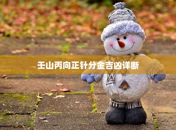 壬山丙向正针分金吉凶详断