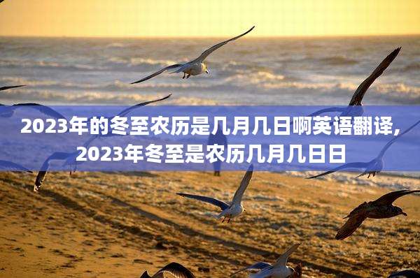2023年的冬至农历是几月几日啊英语翻译,2023年冬至是农历几月几日日