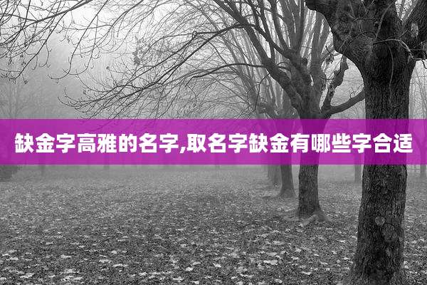 缺金字高雅的名字,取名字缺金有哪些字合适