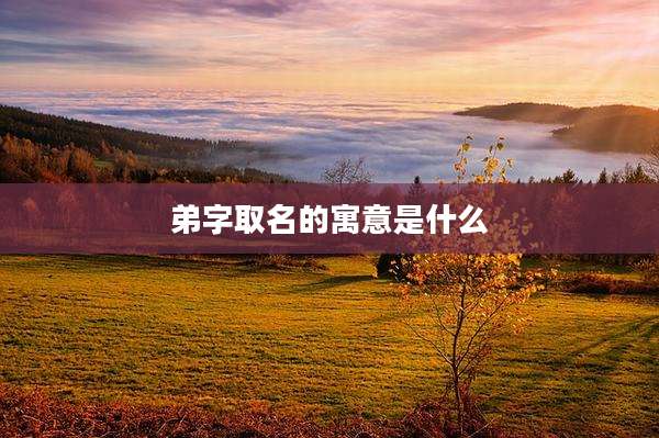 弟字取名的寓意是什么