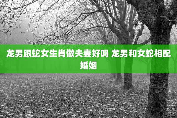 龙男跟蛇女生肖做夫妻好吗 龙男和女蛇相配婚姻