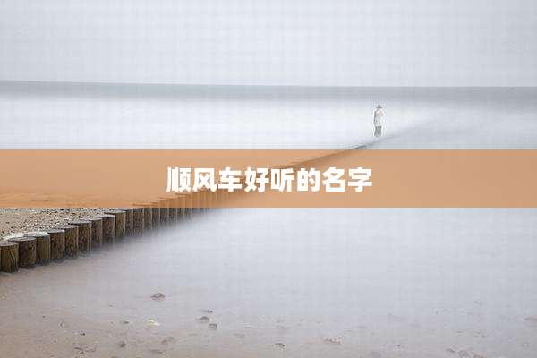 顺风车好听的名字